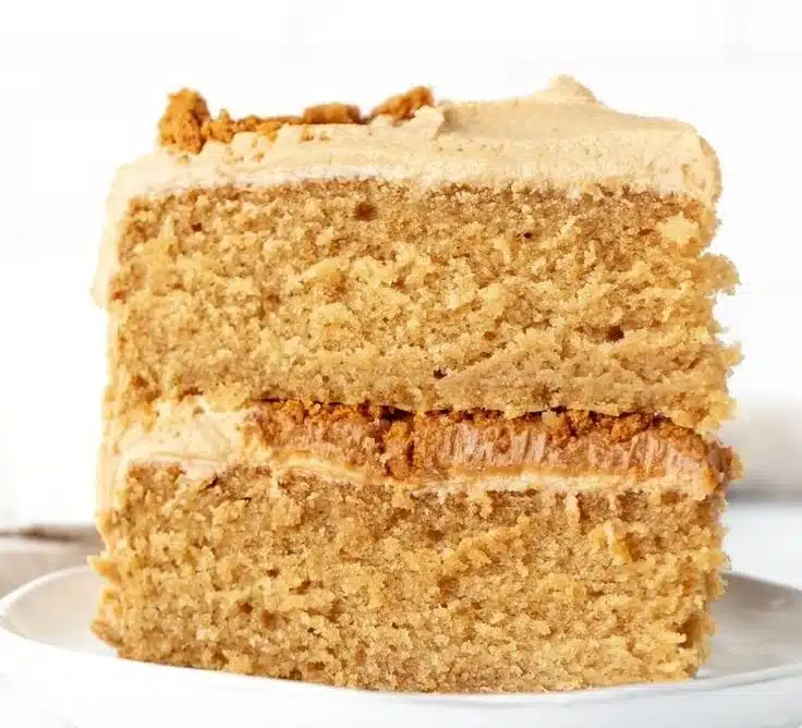 Biscoff Cake