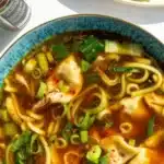 Delicious bowl of Gyoza Soup with dumplings and vegetables