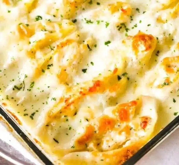 Chicken Alfredo Stuffed Shells