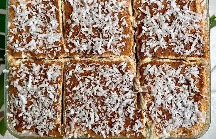 Coconut Rum (Coquito) Tiramisu