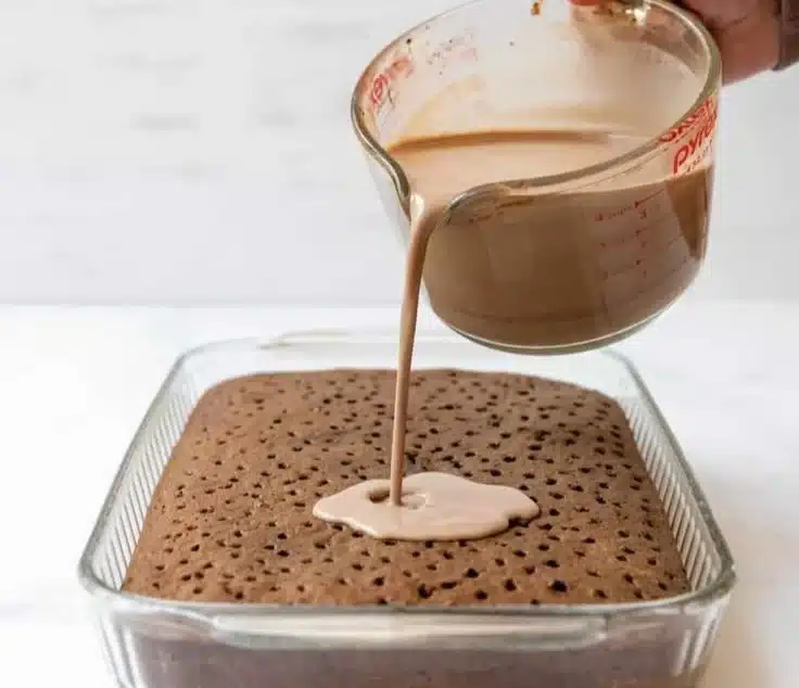 Chocolate Three Milk Cake