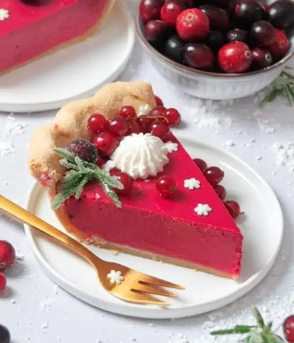 Cranberry Custard Pie