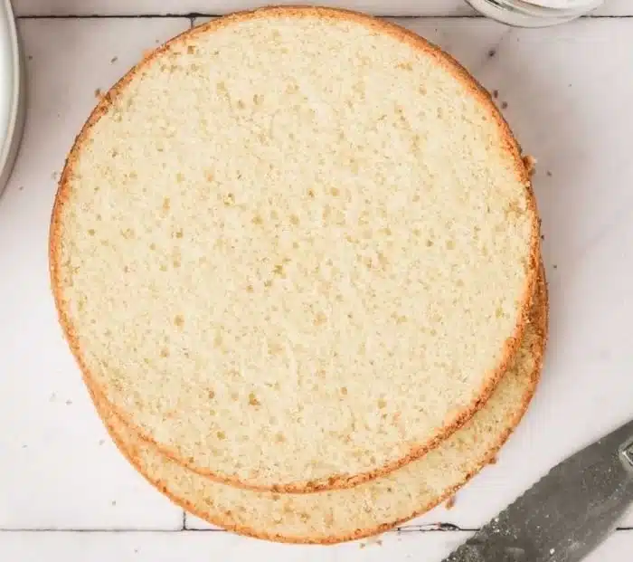 Homemade Vanilla Sponge Cake